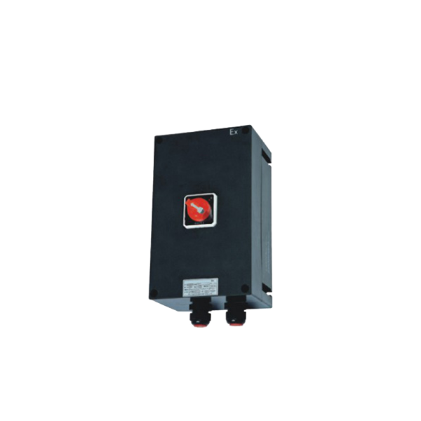 BDB8050防爆防腐電動(dòng)機(jī)保護(hù)器（IIC、tD）